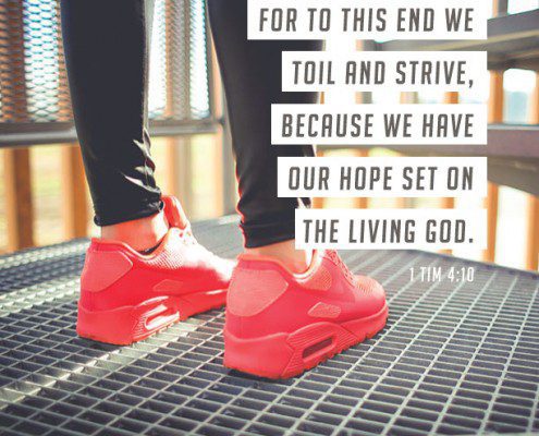 YMI Typography - For to this end we toil and strive, because we have our hope set on the living God. - 1 Timothy 4:10