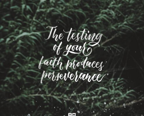 YMI Typography - The testing of your faith produces perseverance. - James 1:3