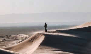 Learning to Trust God in the Desert