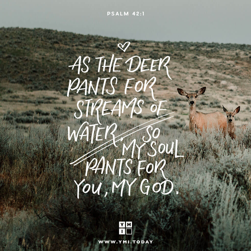 World Video Bible School  Psalm 421 As the deer pants for the water  brooks so pants my soul for You O God  httpsvideowvbsorgaccessinteractivebiblereadingplan  Facebook