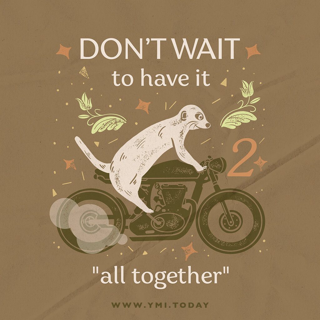 graphic image of a meerkat riding a motorbike