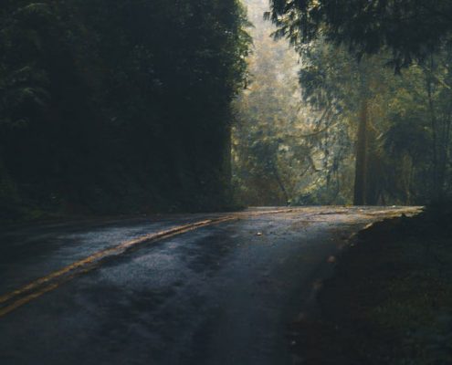 a dark road in jungle