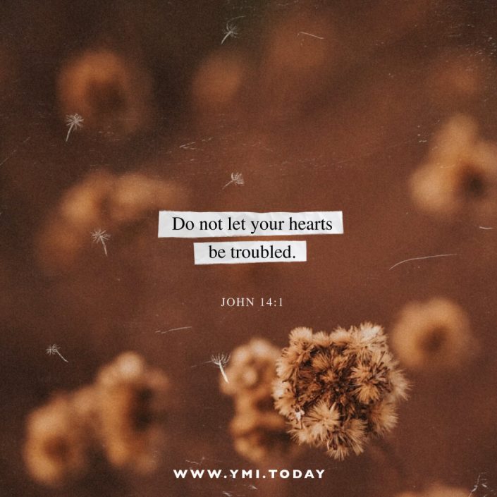 Do not let your hearts be troubled. John 14:1
