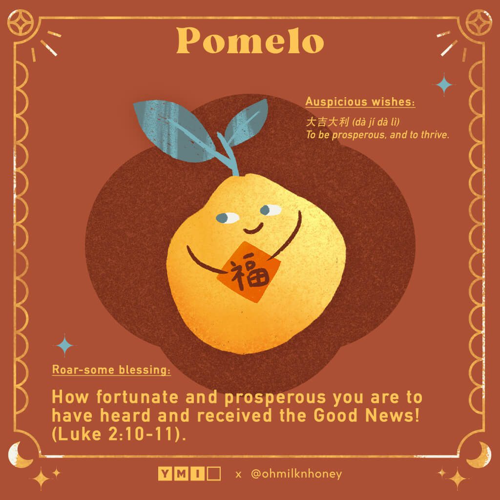 Illustration of pomelo