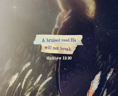 A bruised reed He will not break. Matthew 12:20