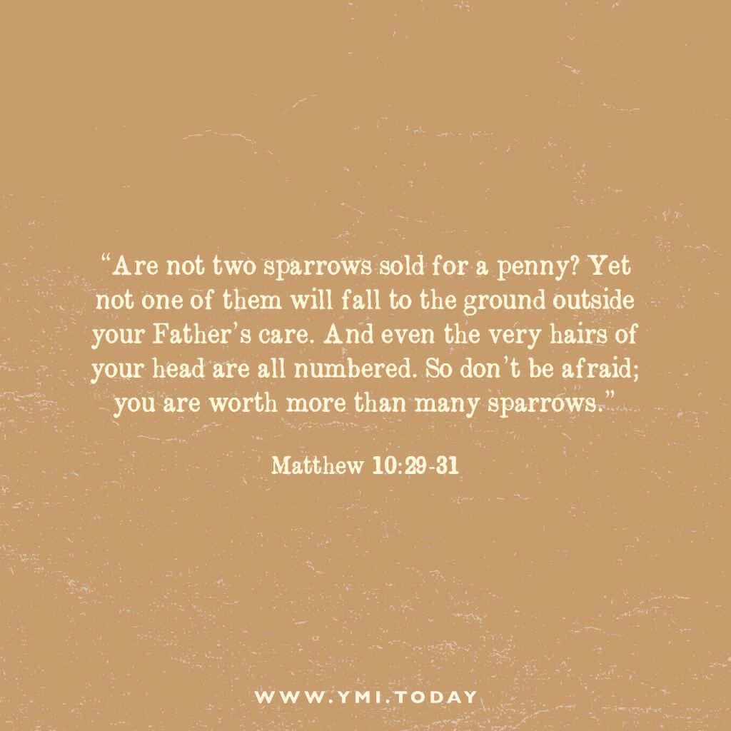 Are not two sparrows sold for a penny? Yet not one of them will fall to the ground outside your Father’s care. And even the very hairs of your head are all numbered. So don’t be afraid; you are worth more than many sparrows. Matthew 10:29-31