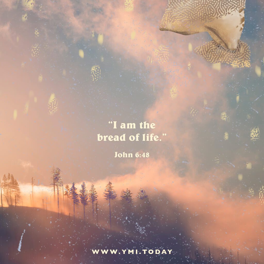 I am the bread of life. John 6:48