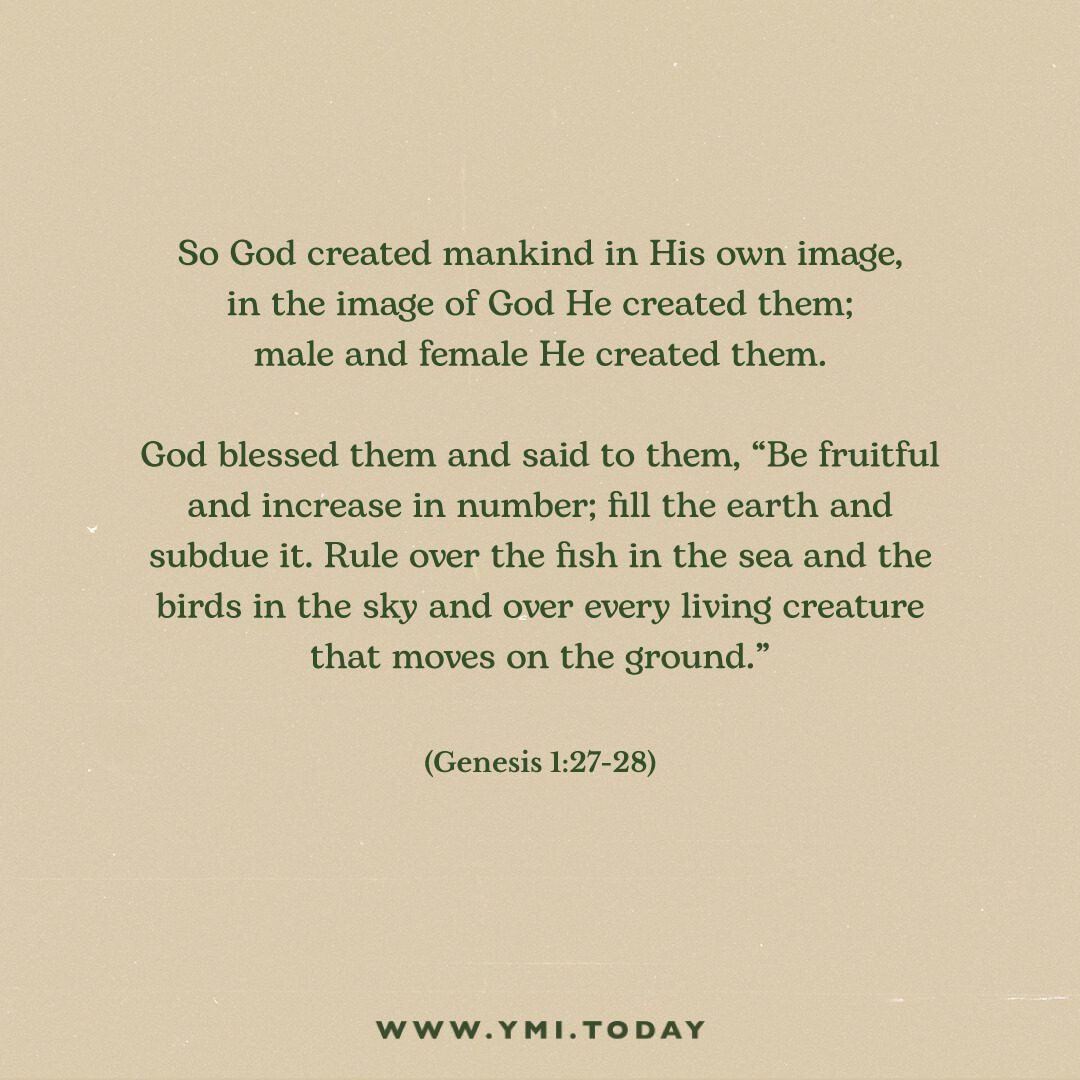 So God created mankind in his own image,     in the image of God he created them;     male and female he created them.  God blessed them and said to them, “Be fruitful and increase in number; fill the earth and subdue it. Rule over the fish in the sea and the birds in the sky and over every living creature that moves on the ground." Genesis 1:27-28