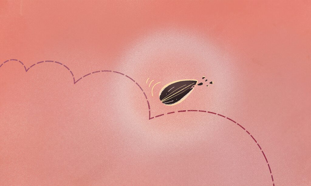 Illustration of a seed falling