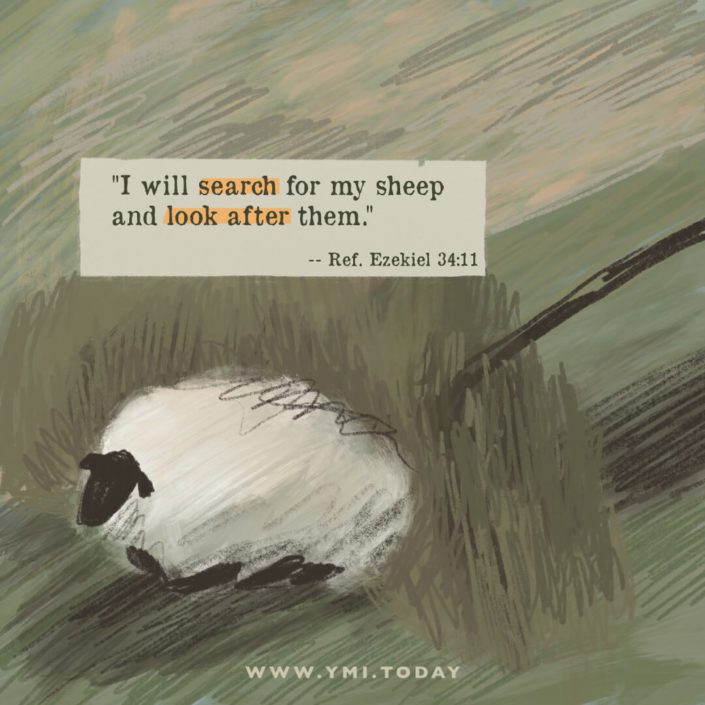 "I will search for my sheep and look after them." (Ezekiel 34:11)