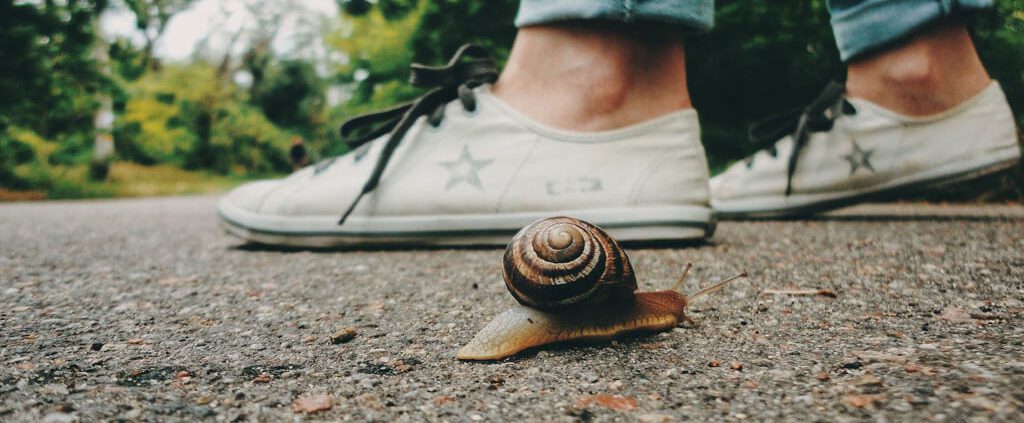 A snail and a human is walking in opposite way