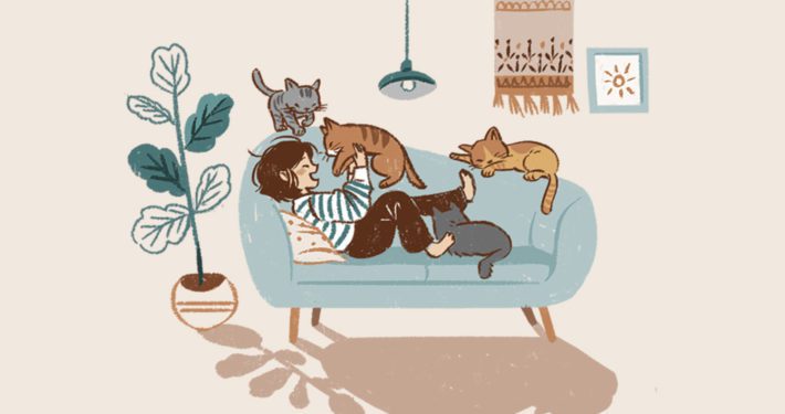 Woman sitting on sofa surrounded by cats