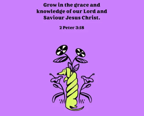 Grow in the grace and knowledge of our Lord and Saviour Jesus Christ. (2 Peter 3:18)