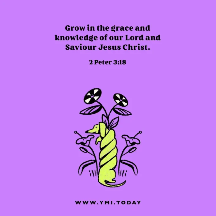 Grow in the grace and knowledge of our Lord and Saviour Jesus Christ. (2 Peter 3:18)