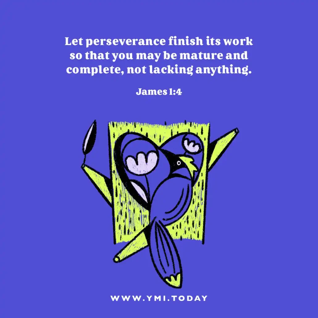 Let perseverance finish its work so that you may be mature and complete, not lacking anything. (James 1:4)