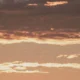 ODB_290524