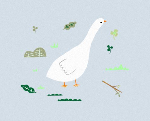 Duck surrounded by leaves and grasses