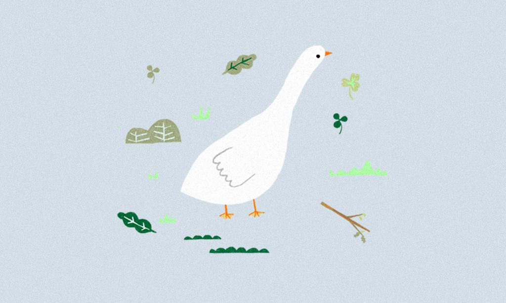 Duck surrounded by leaves and grasses